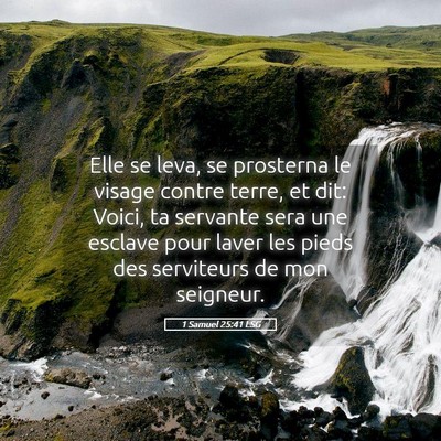 Picture 05 - 1 Samuel 25:41 LSG - Elle se leva, se prosterna le visage contre - Bible Verse Picture