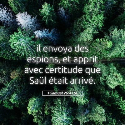 Picture 05 - 1 Samuel 26:4 LSG - il envoya des espions, et apprit avec certitude - Bible Verse Picture