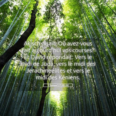Picture 05 - 1 Samuel 27:10 LSG - Akisch disait: Où avez-vous fait aujourd'hui vos - Bible Verse Picture