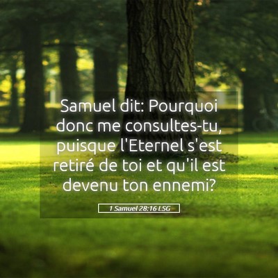 Picture 05 - 1 Samuel 28:16 LSG - Samuel dit: Pourquoi donc me consultes-tu, - Bible Verse Picture