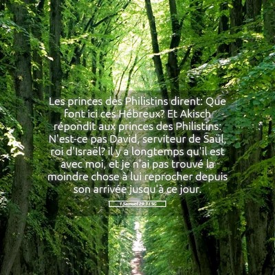 Picture 05 - 1 Samuel 29:3 LSG - Les princes des Philistins dirent: Que font ici - Bible Verse Picture