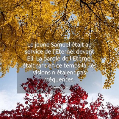 Picture 05 - 1 Samuel 3:1 LSG - Le jeune Samuel était au service de l'Eternel - Bible Verse Picture