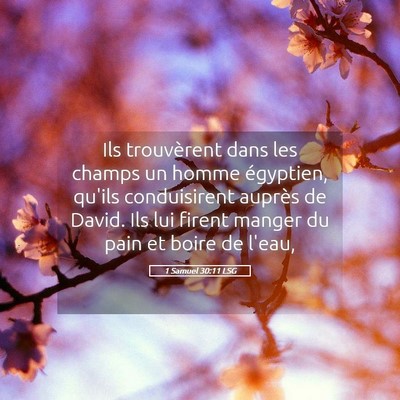 Picture 05 - 1 Samuel 30:11 LSG - Ils trouvèrent dans les champs un homme - Bible Verse Picture