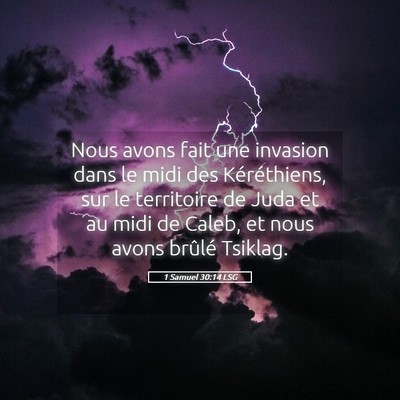 Picture 05 - 1 Samuel 30:14 LSG - Nous avons fait une invasion dans le midi des - Bible Verse Picture