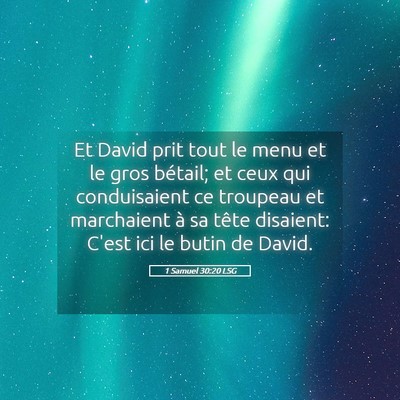 Picture 05 - 1 Samuel 30:20 LSG - Et David prit tout le menu et le gros bétail; et - Bible Verse Picture