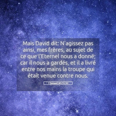 Picture 05 - 1 Samuel 30:23 LSG - Mais David dit: N'agissez pas ainsi, mes frères, - Bible Verse Picture