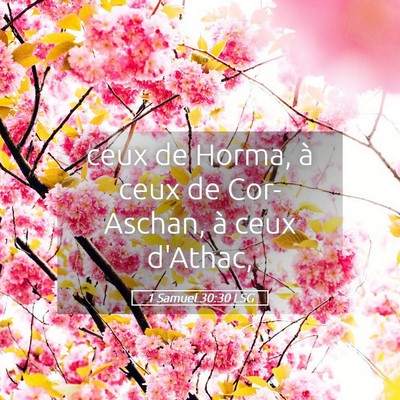 Picture 05 - 1 Samuel 30:30 LSG - ceux de Horma, à ceux de Cor-Aschan, à ceux - Bible Verse Picture