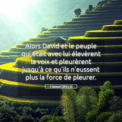Picture 05 - 1 Samuel 30:4 LSG - Alors David et le peuple qui était avec lui - Bible Verse Picture
