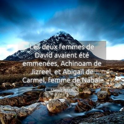 Picture 05 - 1 Samuel 30:5 LSG - Les deux femmes de David avaient été emmenées, - Bible Verse Picture
