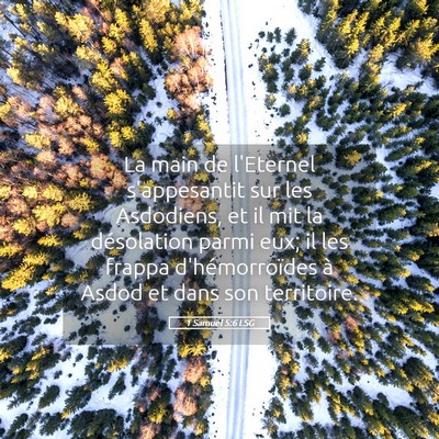 Picture 05 - 1 Samuel 5:6 LSG - La main de l'Eternel s'appesantit sur les - Bible Verse Picture