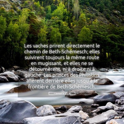 Picture 05 - 1 Samuel 6:12 LSG - Les vaches prirent directement le chemin de - Bible Verse Picture
