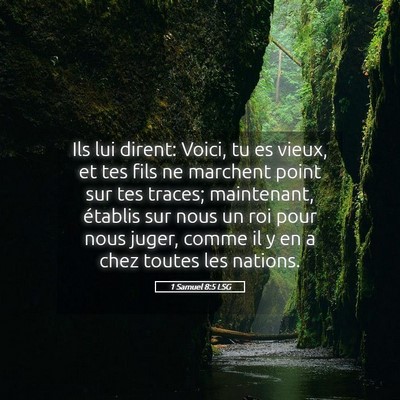 Picture 05 - 1 Samuel 8:5 LSG - Ils lui dirent: Voici, tu es vieux, et tes fils - Bible Verse Picture