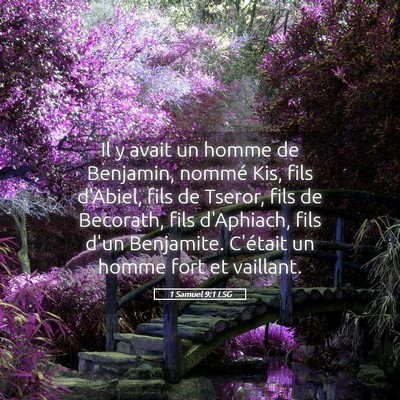 Picture 05 - 1 Samuel 9:1 LSG - Il y avait un homme de Benjamin, nommé Kis, fils - Bible Verse Picture