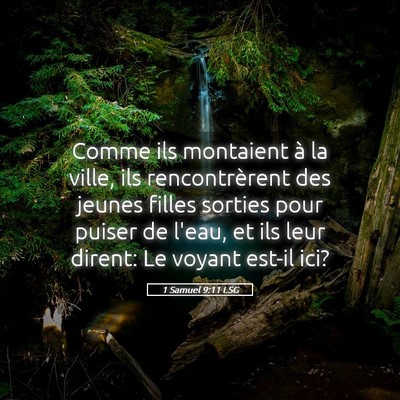 Picture 05 - 1 Samuel 9:11 LSG - Comme ils montaient à la ville, ils - Bible Verse Picture