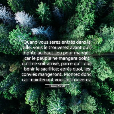 Picture 05 - 1 Samuel 9:13 LSG - Quand vous serez entrés dans la ville, vous le - Bible Verse Picture