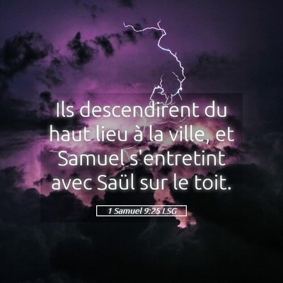 Picture 05 - 1 Samuel 9:25 LSG - Ils descendirent du haut lieu à la ville, et - Bible Verse Picture
