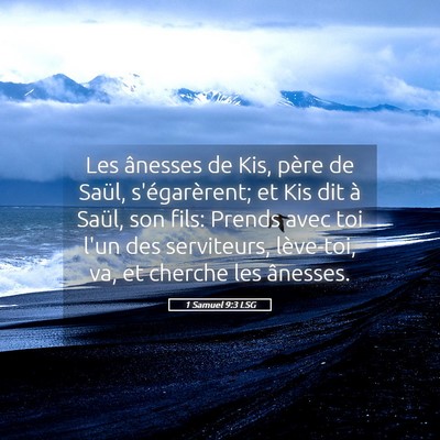 Picture 05 - 1 Samuel 9:3 LSG - Les ânesses de Kis, père de Saül, - Bible Verse Picture