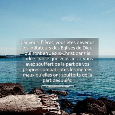 Picture 05 - 1 Thessaloniciens 2:14 LSG - Car vous, frères, vous êtes devenus les - Bible Verse Picture