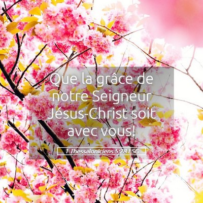 Picture 05 - 1 Thessaloniciens 5:28 LSG - Que la grâce de notre Seigneur Jésus-Christ - Bible Verse Picture