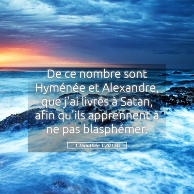Picture 05 - 1 Timothée 1:20 LSG - De ce nombre sont Hyménée et Alexandre, que - Bible Verse Picture