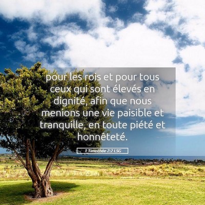 Picture 05 - 1 Timothée 2:2 LSG - pour les rois et pour tous ceux qui sont élevés - Bible Verse Picture
