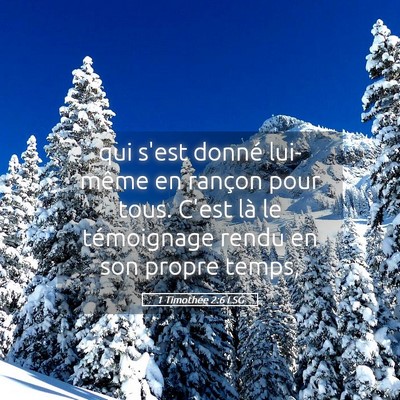 Picture 05 - 1 Timothée 2:6 LSG - qui s'est donné lui-même en rançon pour tous. - Bible Verse Picture