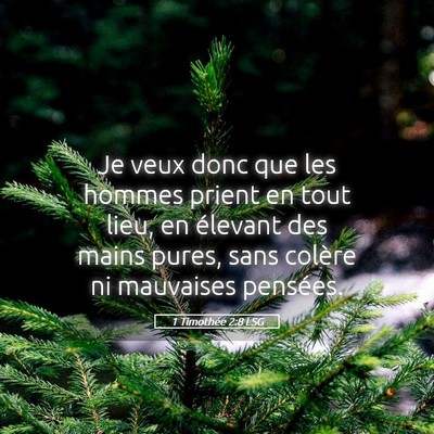 Picture 05 - 1 Timothée 2:8 LSG - Je veux donc que les hommes prient en tout lieu, - Bible Verse Picture