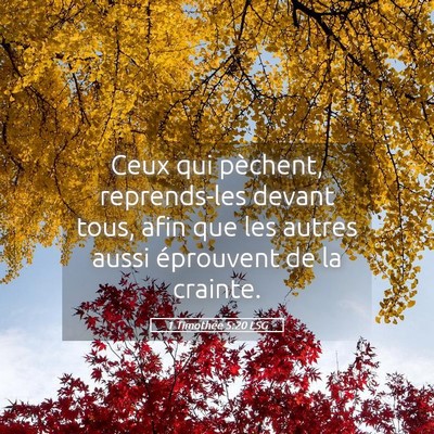 Picture 05 - 1 Timothée 5:20 LSG - Ceux qui pèchent, reprends-les devant tous, afin - Bible Verse Picture