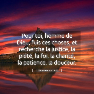 Picture 05 - 1 Timothée 6:11 LSG - Pour toi, homme de Dieu, fuis ces choses, et - Bible Verse Picture