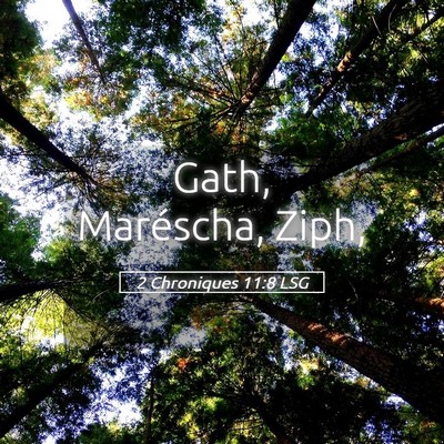 Picture 05 - 2 Chroniques 11:8 LSG - Gath, Maréscha, - Bible Verse Picture