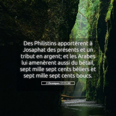 Picture 05 - 2 Chroniques 17:11 LSG - Des Philistins apportèrent à Josaphat des - Bible Verse Picture