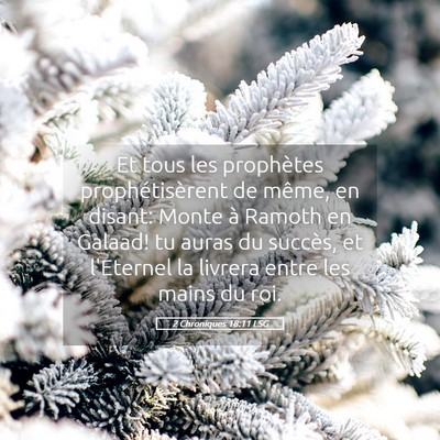 Picture 05 - 2 Chroniques 18:11 LSG - Et tous les prophètes prophétisèrent de même, - Bible Verse Picture