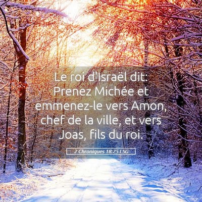 Picture 05 - 2 Chroniques 18:25 LSG - Le roi d'Israël dit: Prenez Michée et - Bible Verse Picture