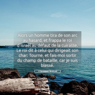 Picture 05 - 2 Chroniques 18:33 LSG - Alors un homme tira de son arc au hasard, et - Bible Verse Picture