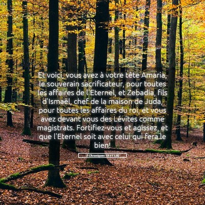 Picture 05 - 2 Chroniques 19:11 LSG - Et voici, vous avez à votre tête Amaria, le - Bible Verse Picture