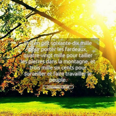 Picture 05 - 2 Chroniques 2:18 LSG - Et il en prit soixante-dix mille pour porter les - Bible Verse Picture