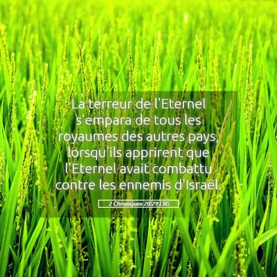 Picture 05 - 2 Chroniques 20:29 LSG - La terreur de l'Eternel s'empara de tous les - Bible Verse Picture
