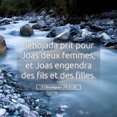 Picture 05 - 2 Chroniques 24:3 LSG - Jehojada prit pour Joas deux femmes, et Joas - Bible Verse Picture