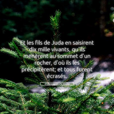 Picture 05 - 2 Chroniques 25:12 LSG - Et les fils de Juda en saisirent dix mille - Bible Verse Picture