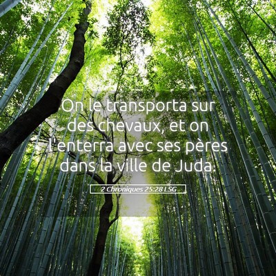 Picture 05 - 2 Chroniques 25:28 LSG - On le transporta sur des chevaux, et on l'enterra - Bible Verse Picture