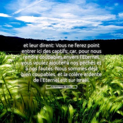 Picture 05 - 2 Chroniques 28:13 LSG - et leur dirent: Vous ne ferez point entrer ici - Bible Verse Picture