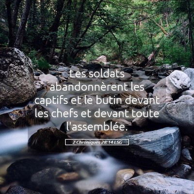 Picture 05 - 2 Chroniques 28:14 LSG - Les soldats abandonnèrent les captifs et le - Bible Verse Picture