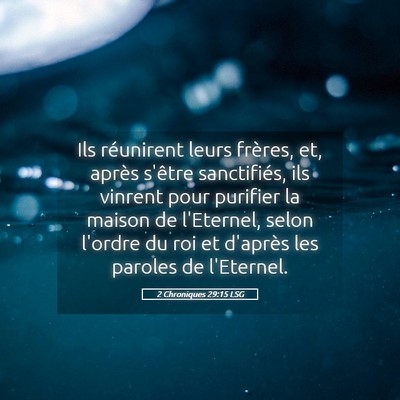 Picture 05 - 2 Chroniques 29:15 LSG - Ils réunirent leurs frères, et, après s'être - Bible Verse Picture