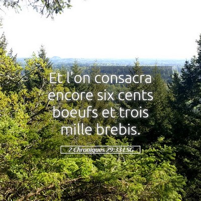 Picture 05 - 2 Chroniques 29:33 LSG - Et l'on consacra encore six cents boeufs et trois - Bible Verse Picture