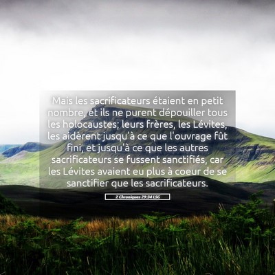 Picture 05 - 2 Chroniques 29:34 LSG - Mais les sacrificateurs étaient en petit nombre, - Bible Verse Picture