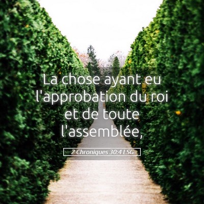 Picture 05 - 2 Chroniques 30:4 LSG - La chose ayant eu l'approbation du roi et de - Bible Verse Picture