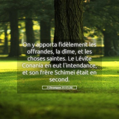 Picture 05 - 2 Chroniques 31:12 LSG - On y apporta fidèlement les offrandes, la dîme, - Bible Verse Picture