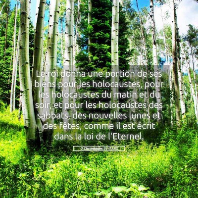 Picture 05 - 2 Chroniques 31:3 LSG - Le roi donna une portion de ses biens pour les - Bible Verse Picture