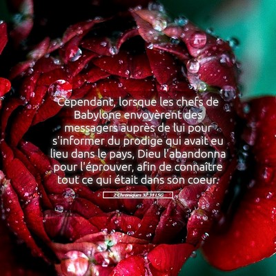 Picture 05 - 2 Chroniques 32:31 LSG - Cependant, lorsque les chefs de Babylone - Bible Verse Picture