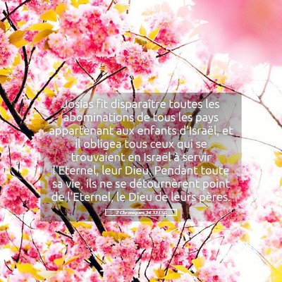Picture 05 - 2 Chroniques 34:33 LSG - Josias fit disparaître toutes les abominations - Bible Verse Picture